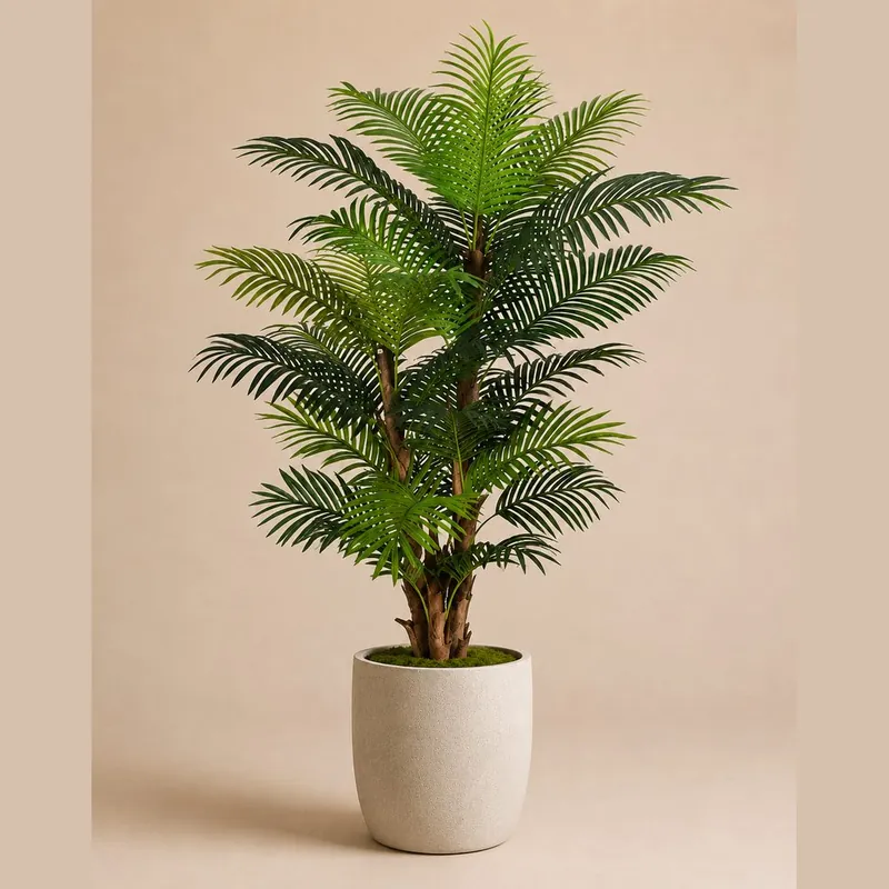Palm Tree